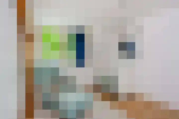 Leidsekade 88 BS Utrecht thumbnail 28