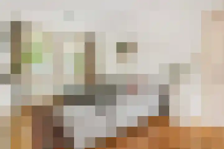 Leidsekade 88 BS Utrecht thumbnail 7