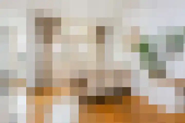 Leidsekade 88 BS Utrecht thumbnail 9