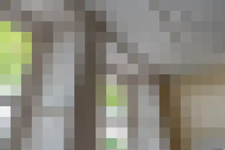 Leidsekade 92 Utrecht thumbnail 11
