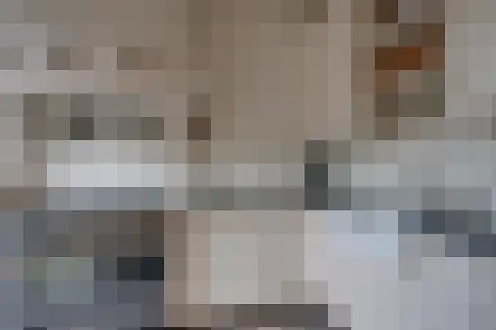 Leidsekade 92 Utrecht thumbnail 16