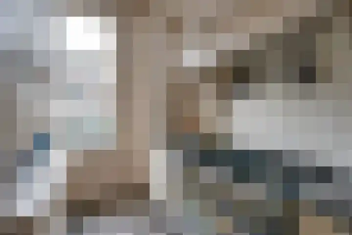 Leidsekade 92 Utrecht thumbnail 17