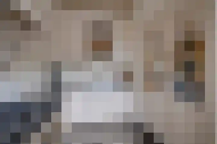 Leidsekade 92 Utrecht thumbnail 18