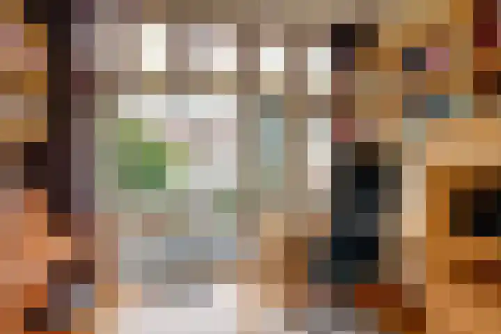 Leidsekade 92 Utrecht thumbnail 22