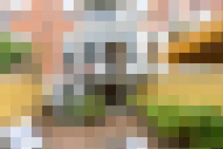 Leidsekade 92 Utrecht thumbnail 26