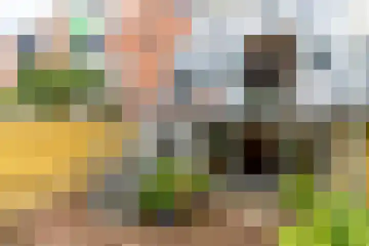 Leidsekade 92 Utrecht thumbnail 27