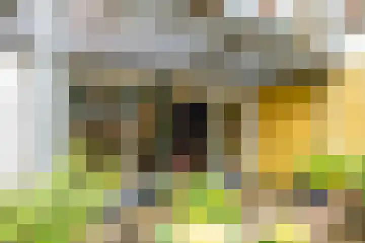 Leidsekade 92 Utrecht thumbnail 28