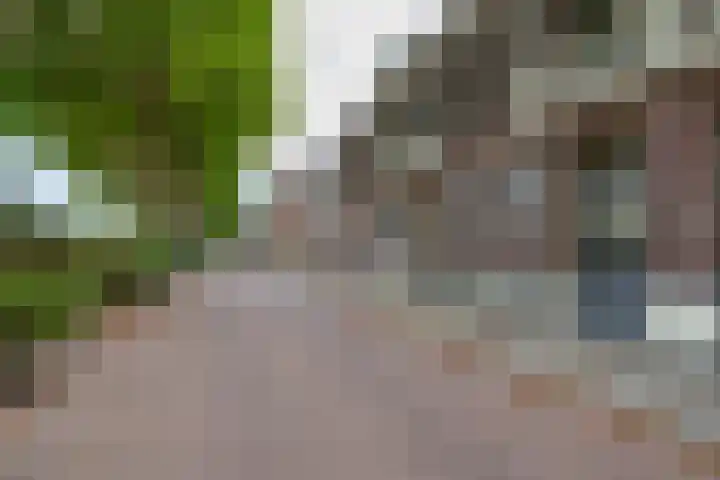 Leidsekade 92 Utrecht thumbnail 48