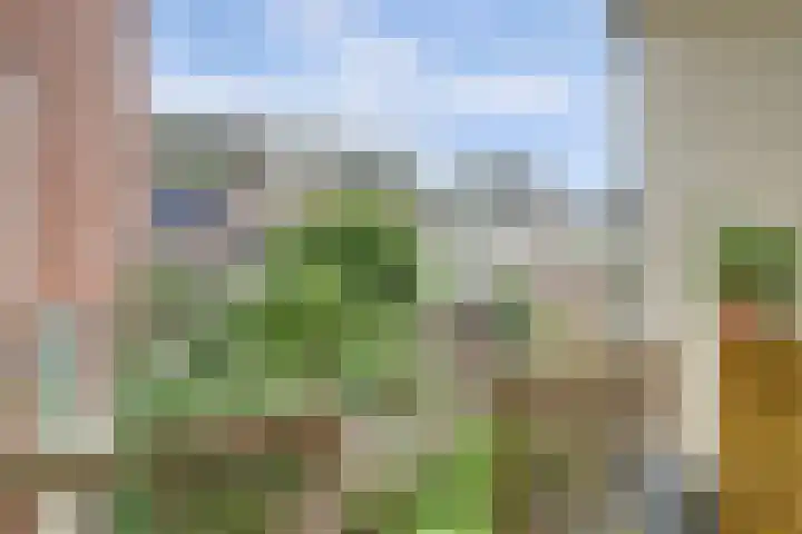 Leidsekade 93 Utrecht thumbnail 11