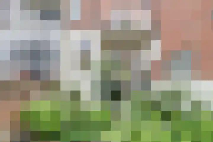 Leidsekade 93 Utrecht thumbnail 13