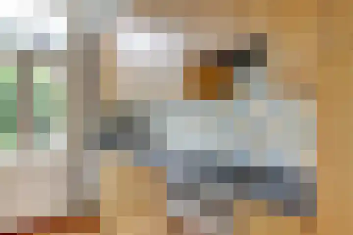 Leidsekade 93 Utrecht thumbnail 16