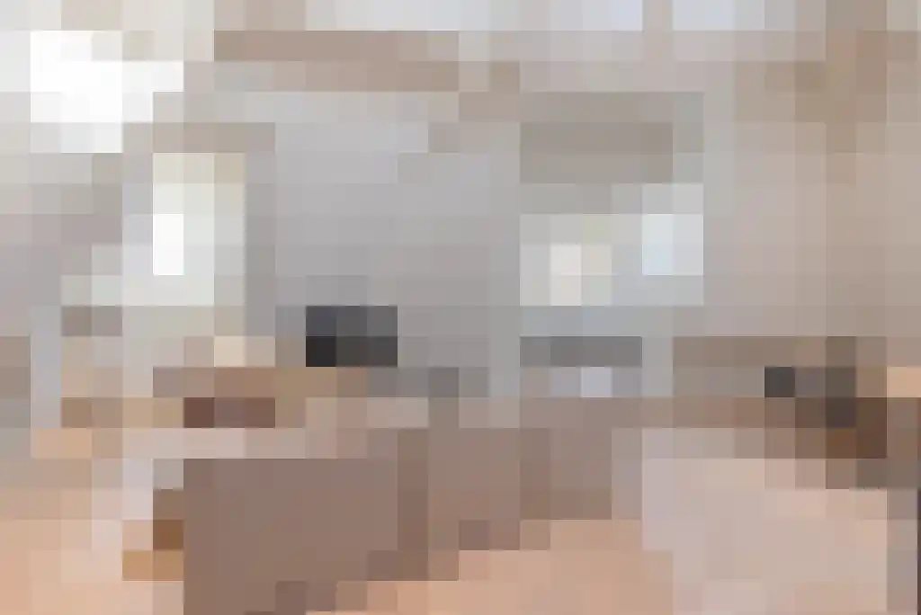 Leidsekade 98 D Amsterdam thumbnail 6