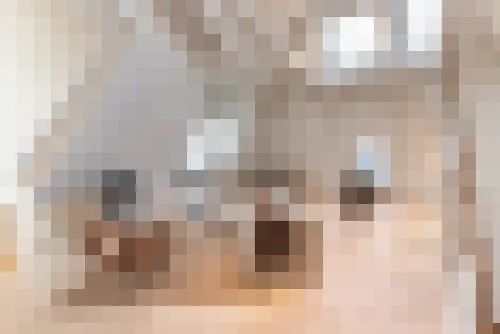 Leidsekade 98 D Amsterdam thumbnail 8