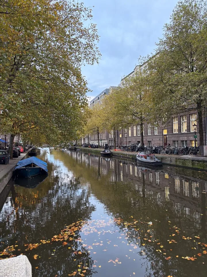 Leidsekruisstraat 19 3 Amsterdam thumbnail 20