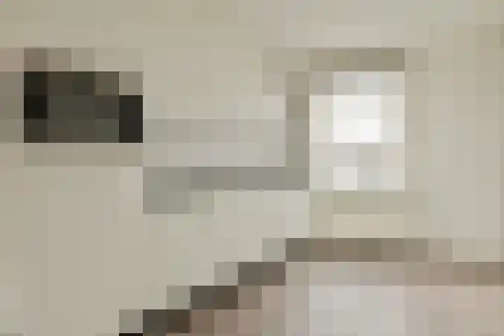 Leidsekruisstraat 22 2 Amsterdam thumbnail 6