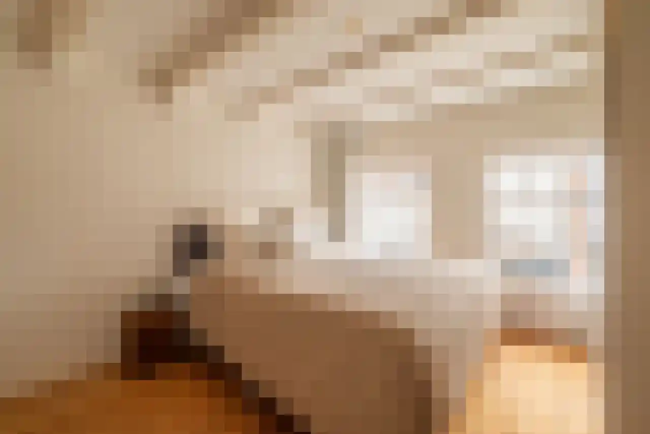Leidsekruisstraat 5 Amsterdam thumbnail 17