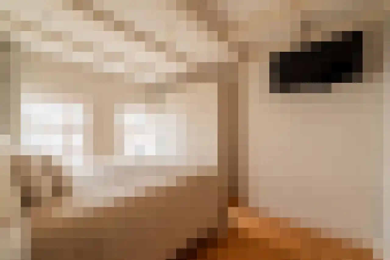 Leidsekruisstraat 5 Amsterdam thumbnail 18