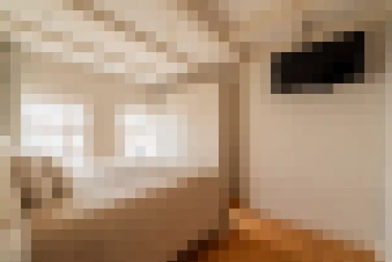 Leidsekruisstraat 5 Amsterdam thumbnail 18