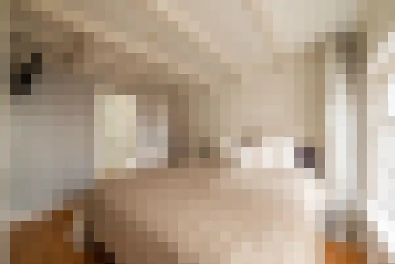 Leidsekruisstraat 5 Amsterdam thumbnail 20