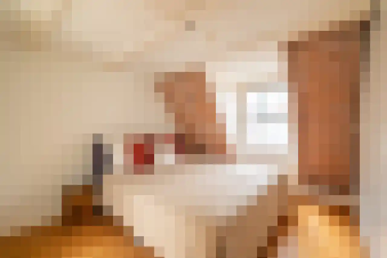 Leidsekruisstraat 5 Amsterdam thumbnail 26