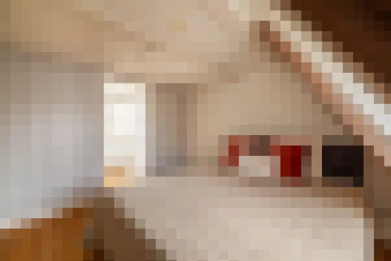 Leidsekruisstraat 5 Amsterdam thumbnail 27