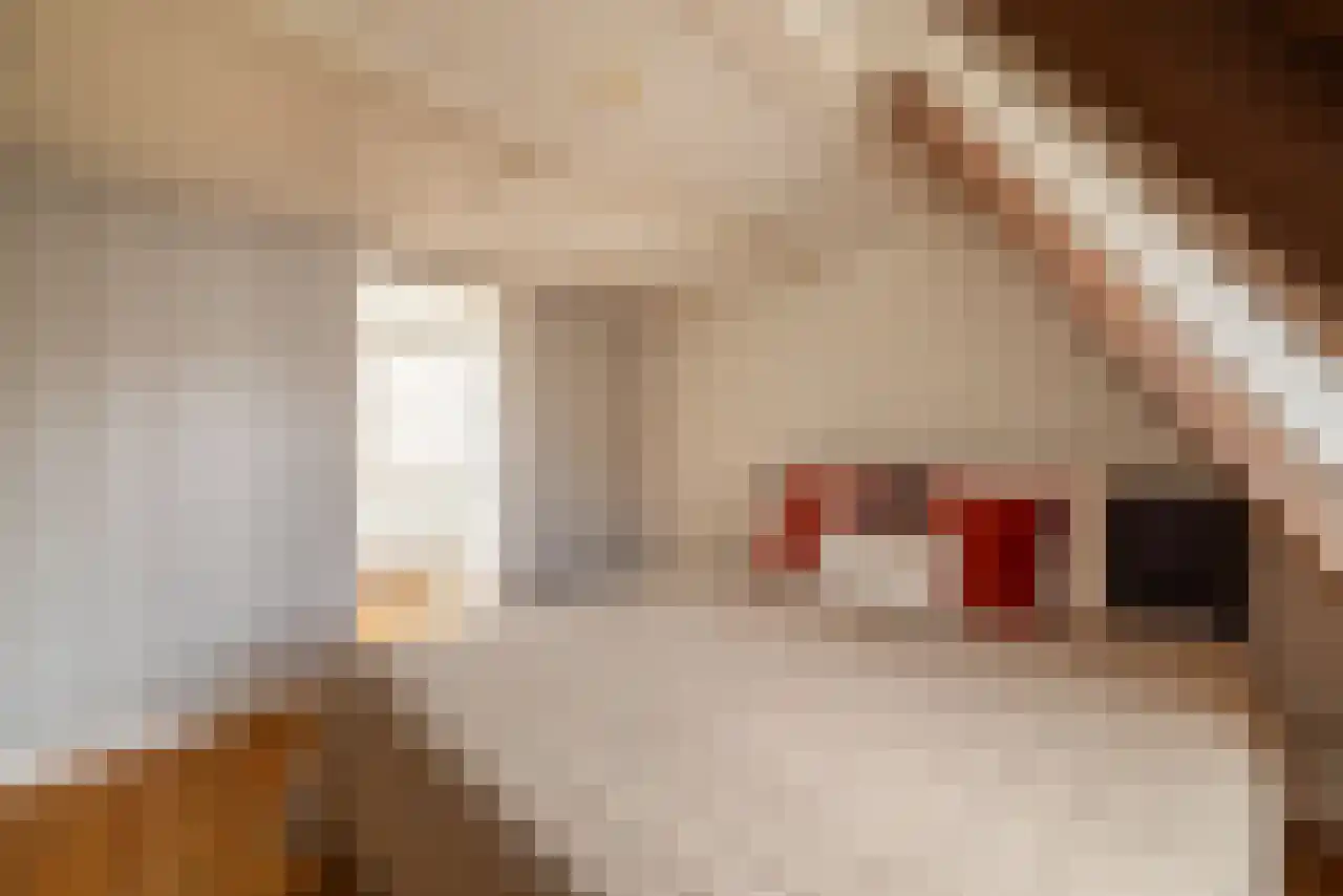 Leidsekruisstraat 5 Amsterdam thumbnail 28