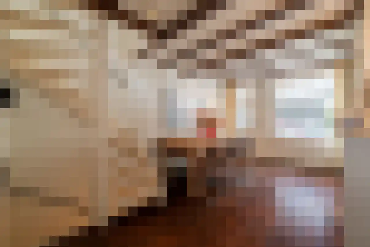 Leidsekruisstraat 5 Amsterdam thumbnail 4