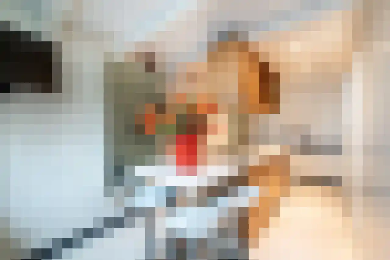 Leidsekruisstraat 5 Amsterdam thumbnail 4