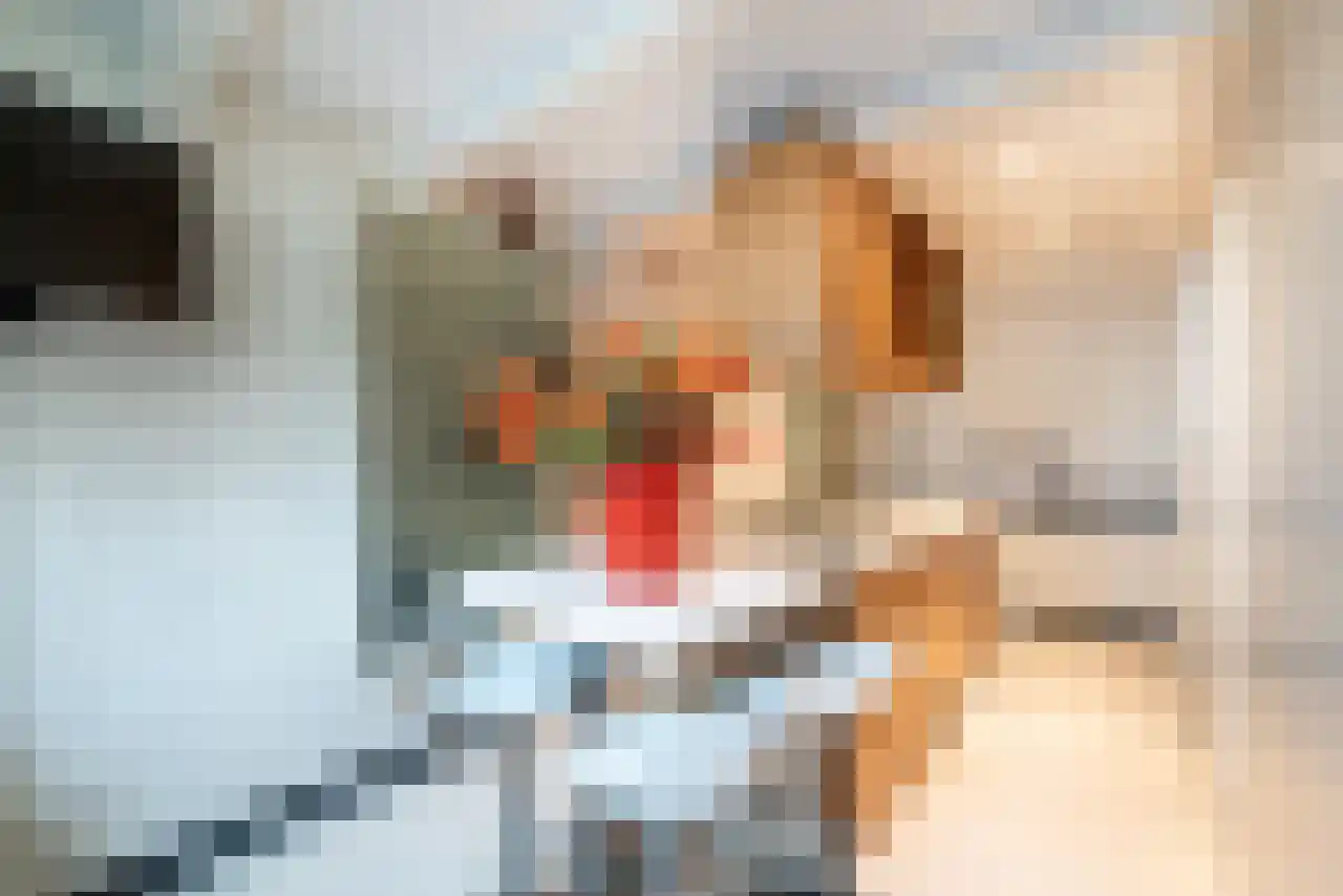 Leidsekruisstraat 5 Amsterdam thumbnail 4