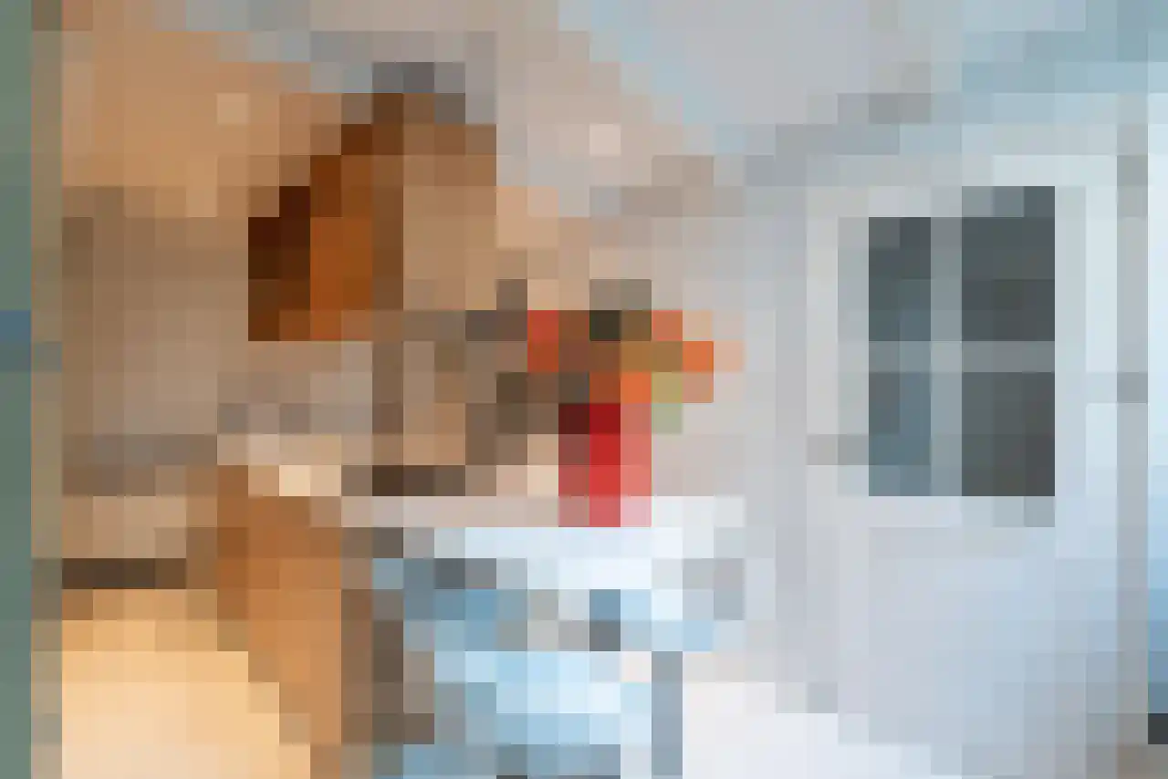 Leidsekruisstraat 5 Amsterdam thumbnail 5