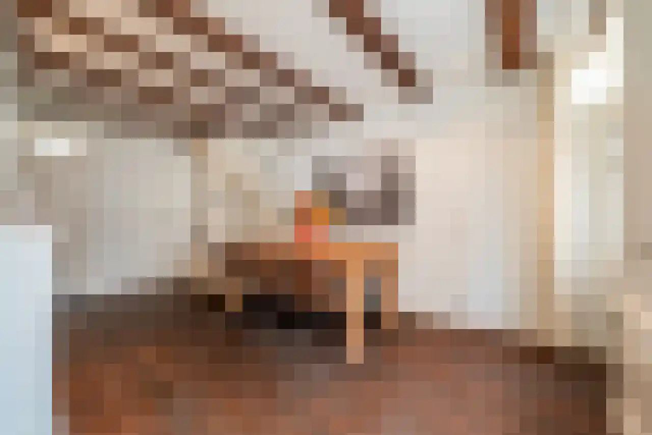Leidsekruisstraat 5 Amsterdam thumbnail 8