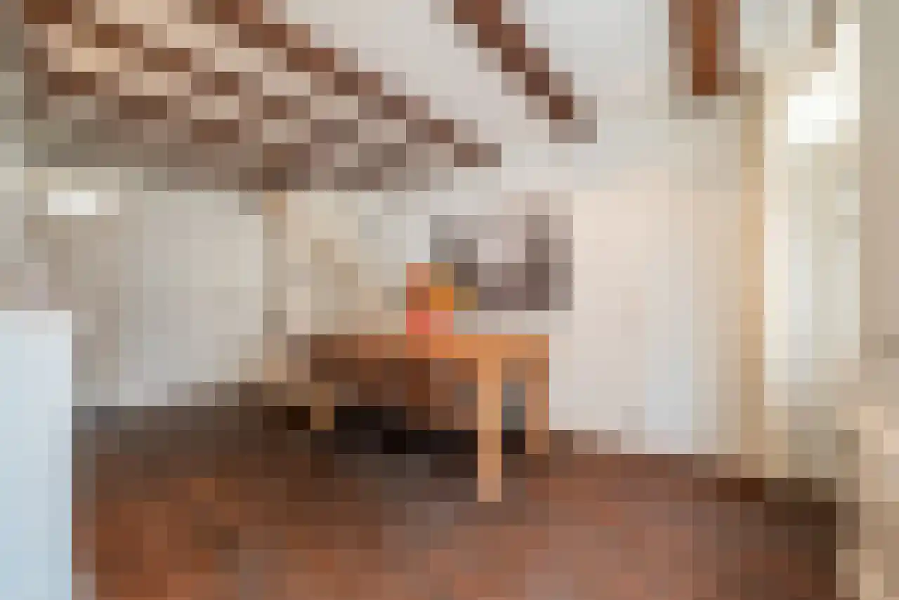 Leidsekruisstraat 5 Amsterdam thumbnail 8