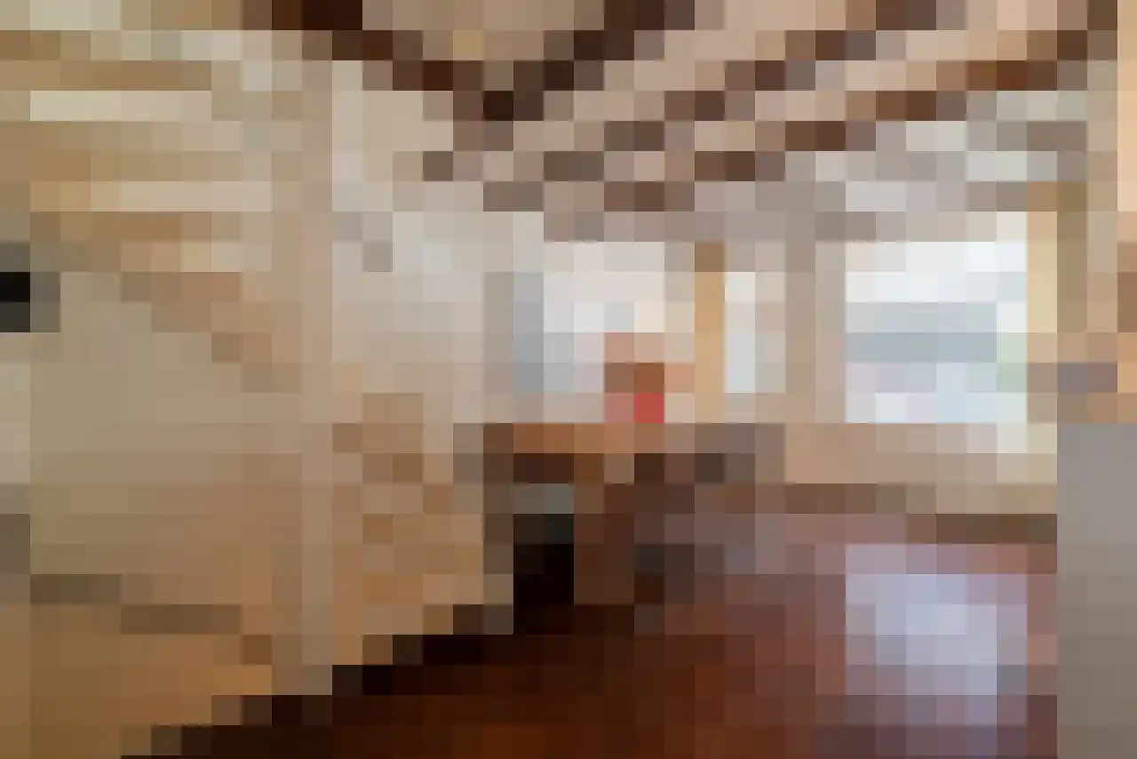 Leidsekruisstraat 5 Amsterdam thumbnail 9