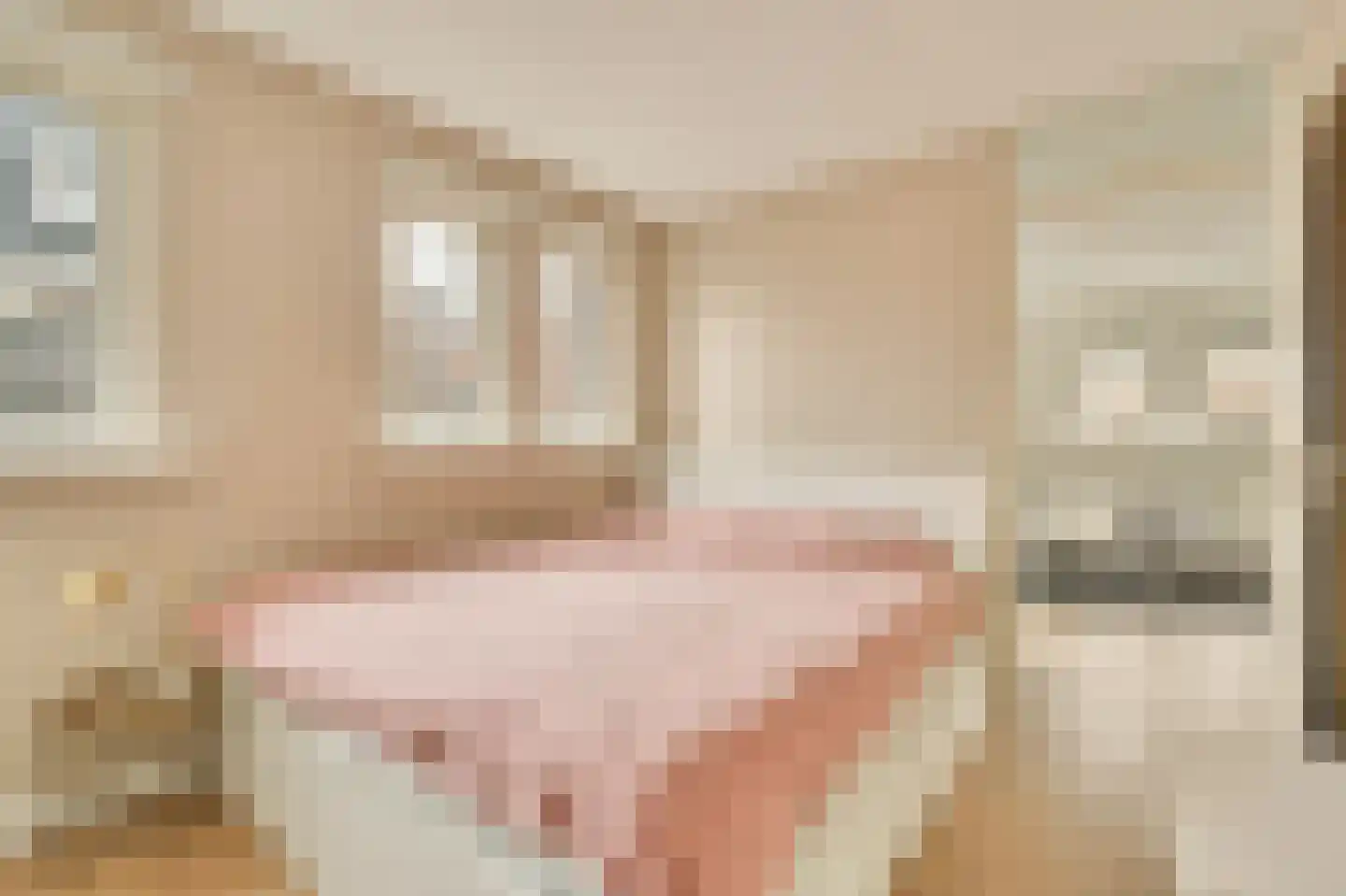 Leidsekruisstraat 56 Amsterdam thumbnail 12