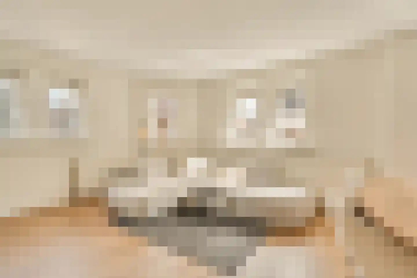 Leidsekruisstraat 56 Amsterdam thumbnail 4