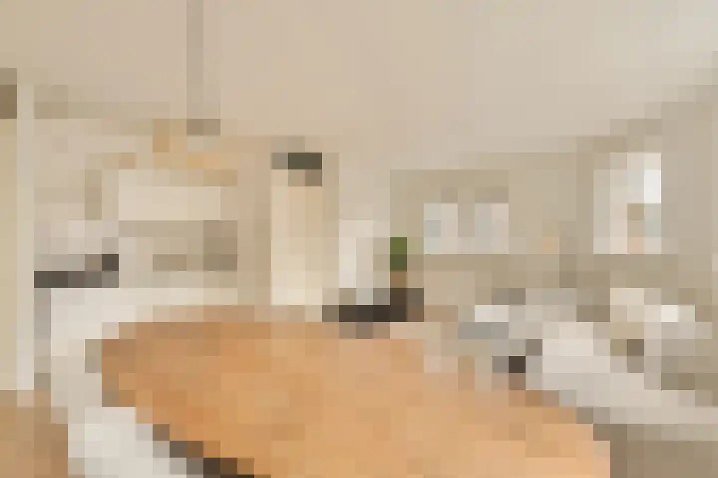 Leidsekruisstraat 56 Amsterdam thumbnail 7