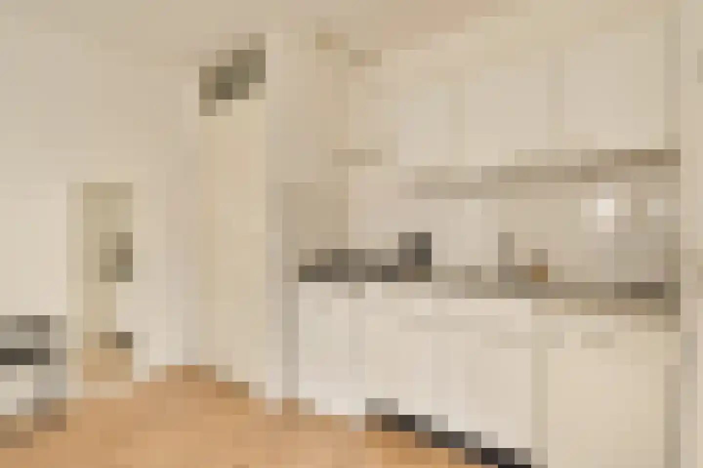 Leidsekruisstraat 56 Amsterdam thumbnail 8
