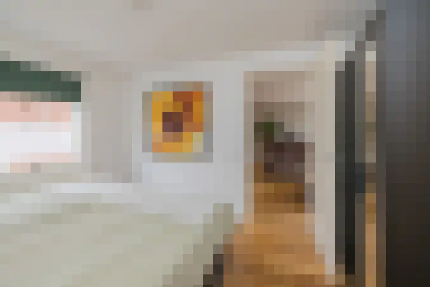 Leidsemeerstraat 25 Buitenkaag thumbnail 16