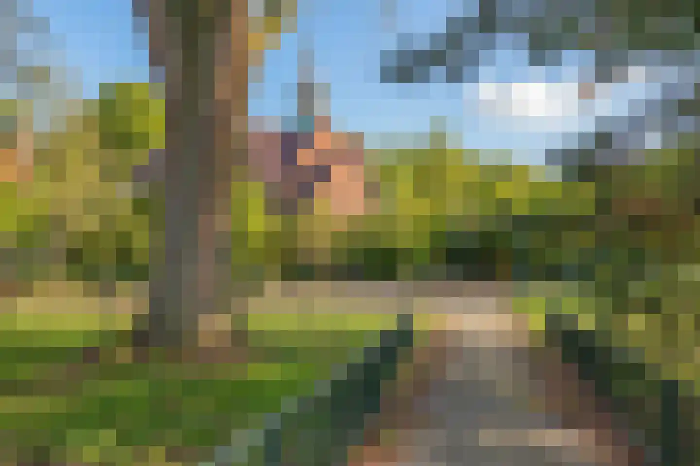 Leidsemeerstraat 25 Buitenkaag thumbnail 44