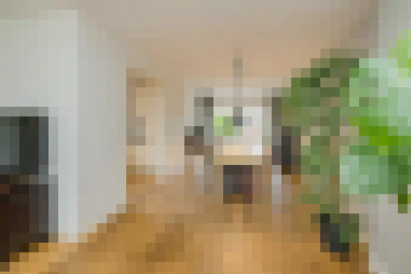 Leidsemeerstraat 25 Buitenkaag thumbnail 5