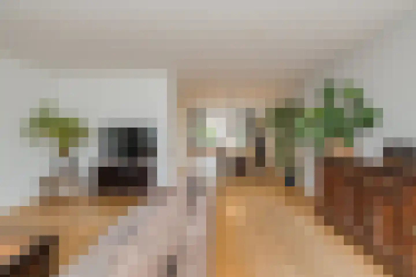 Leidsemeerstraat 25 Buitenkaag thumbnail 9