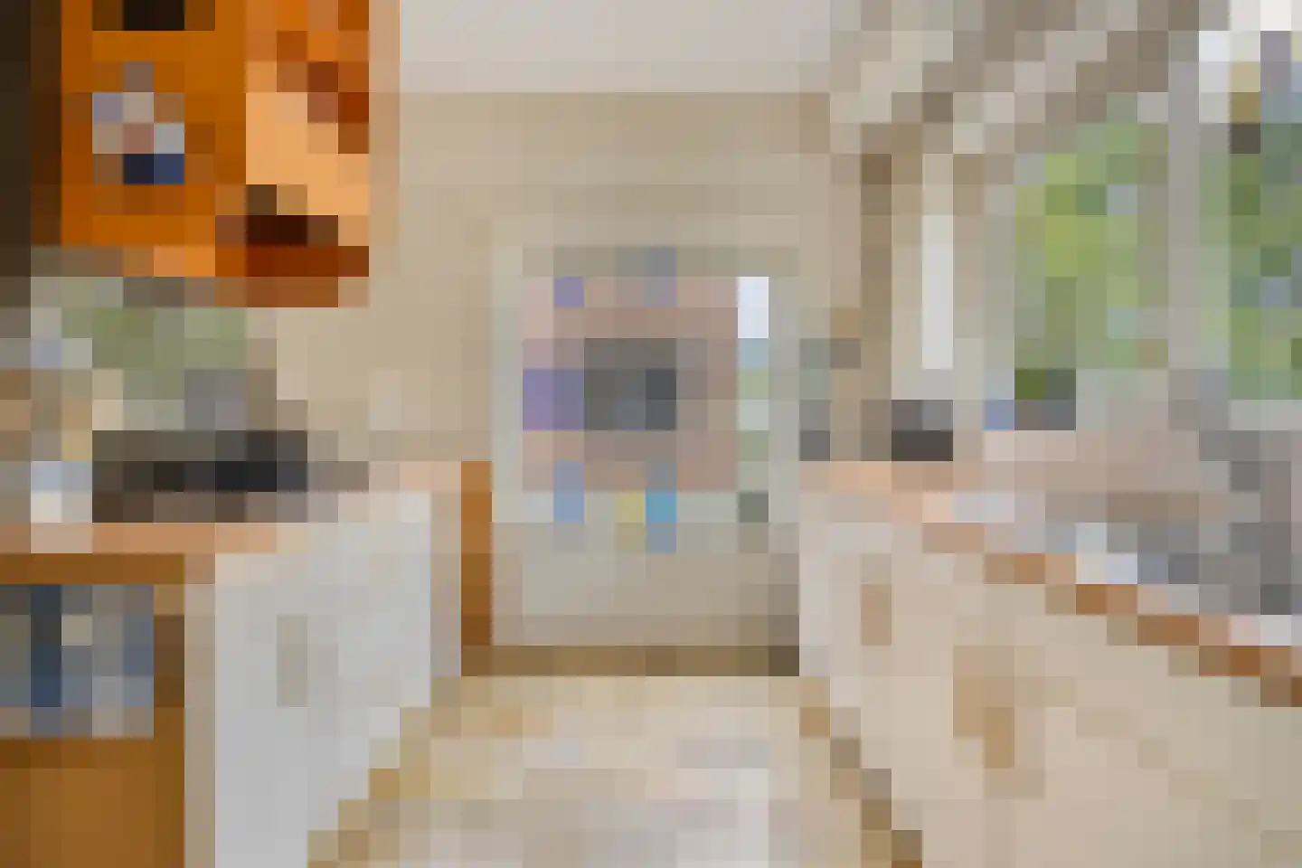 Leidsemeerstraat 55 Buitenkaag thumbnail 12