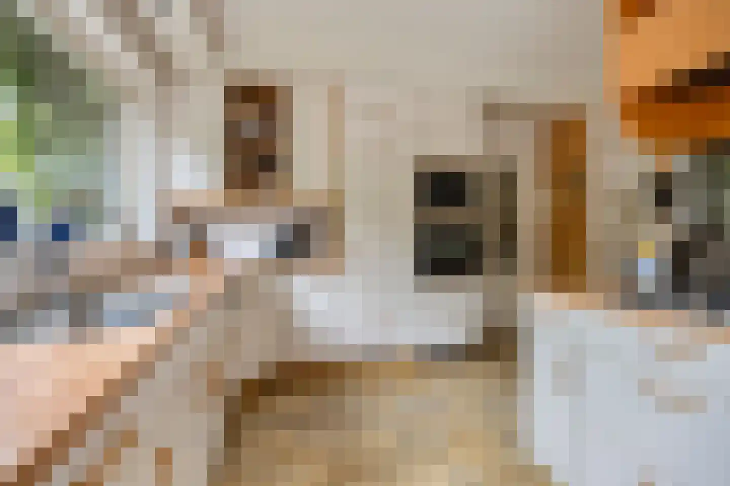 Leidsemeerstraat 55 Buitenkaag thumbnail 13