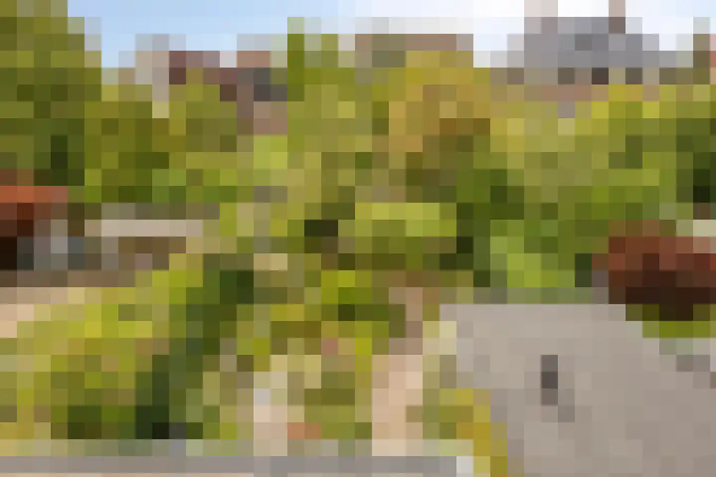 Leidsemeerstraat 55 Buitenkaag thumbnail 31