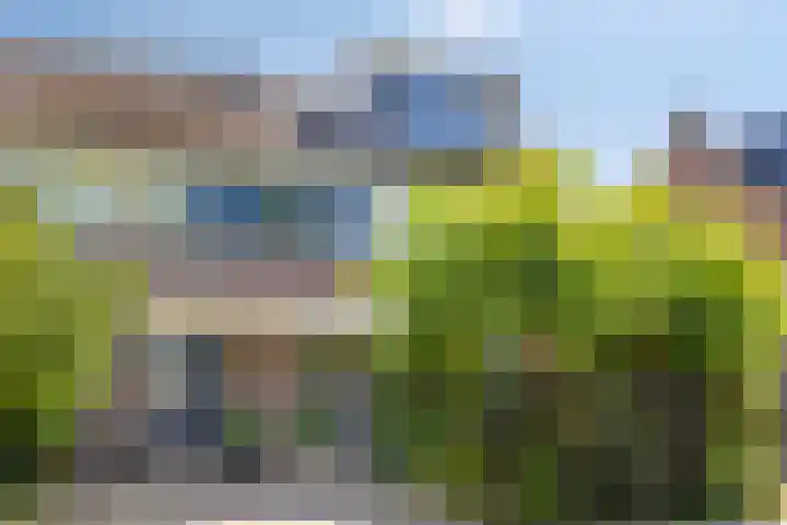 Leidsemeerstraat 63 Buitenkaag thumbnail 8