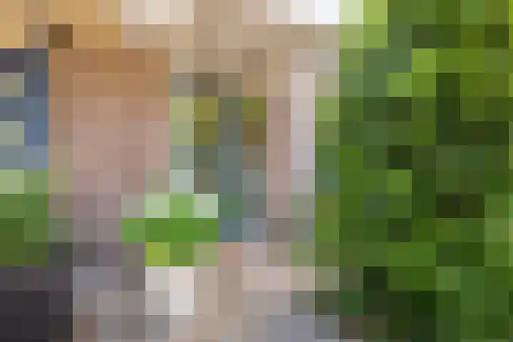 Leidsemeerstraat 63 Buitenkaag thumbnail 9