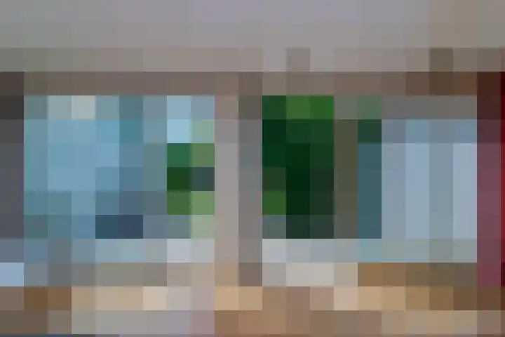 Leidsemeerstraat 65 Buitenkaag thumbnail 11