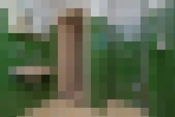 Leidsemeerstraat 65 Buitenkaag thumbnail 22