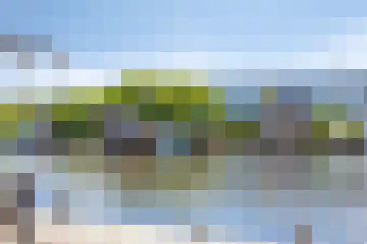 Leidsemeerstraat 65 Buitenkaag thumbnail 42