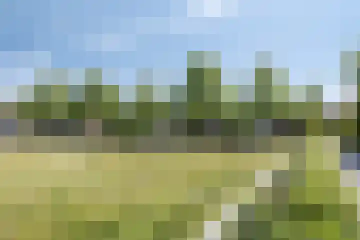 Leidsemeerstraat 65 Buitenkaag thumbnail 43